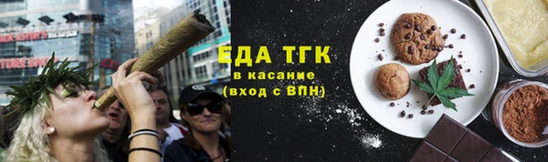 стаф Аркадак