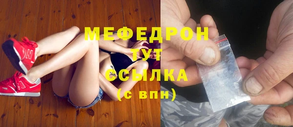 стаф Аркадак
