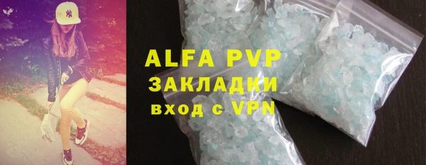 стаф Аркадак