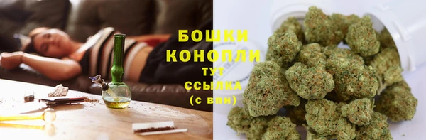 ПСИЛОЦИБИНОВЫЕ ГРИБЫ Арсеньев
