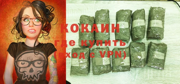 стаф Аркадак