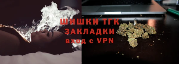 стаф Аркадак