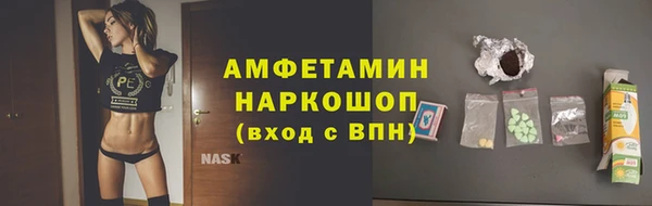 стаф Аркадак