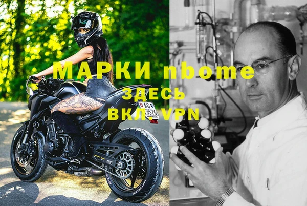 ПСИЛОЦИБИНОВЫЕ ГРИБЫ Арсеньев