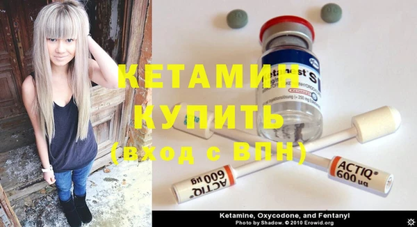 стаф Аркадак